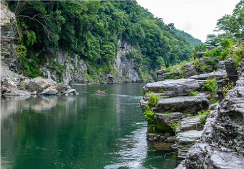 長瀞岩畳